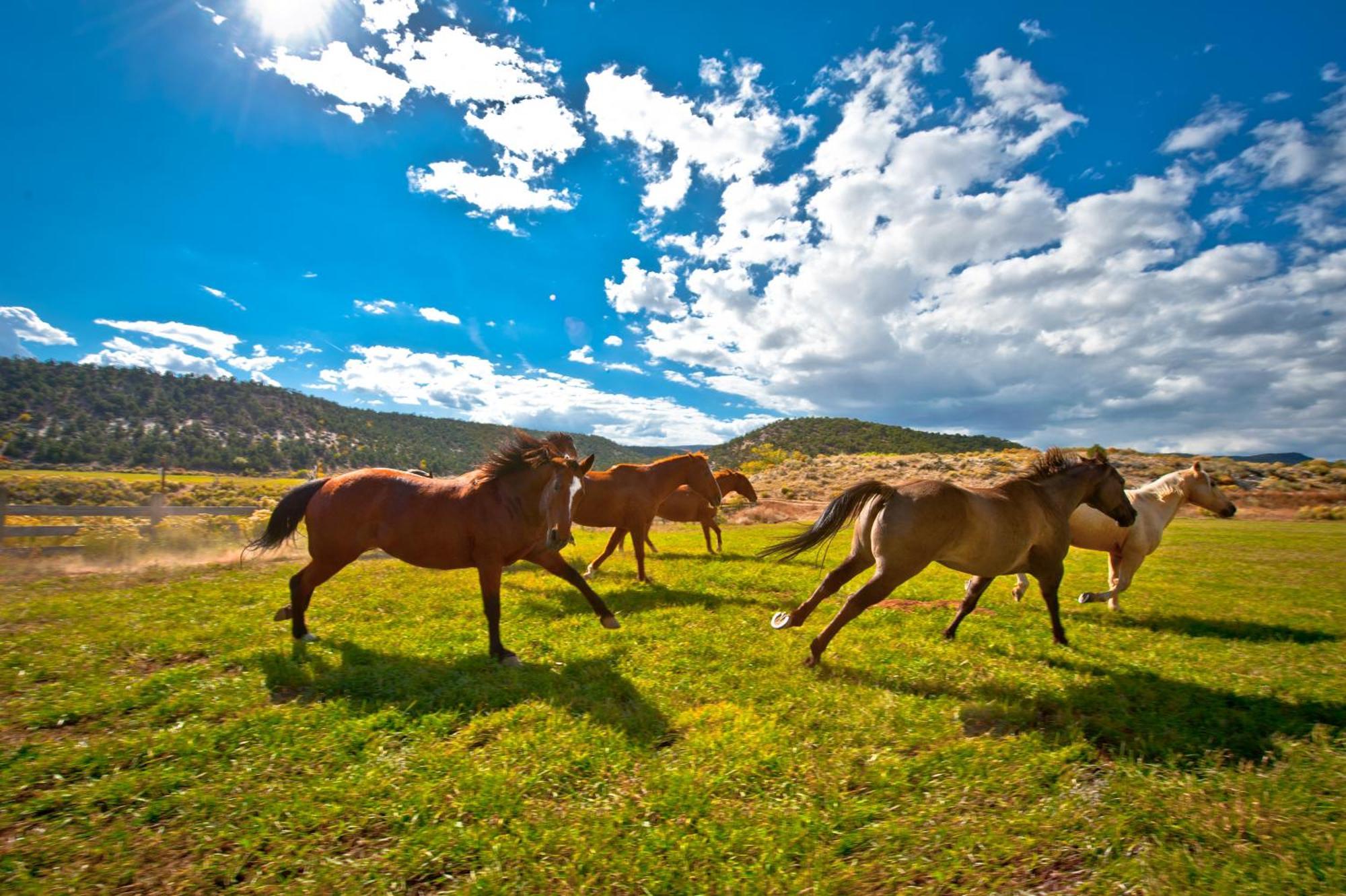 Willa Boulder Mountain Guest Ranch Zewnętrze zdjęcie